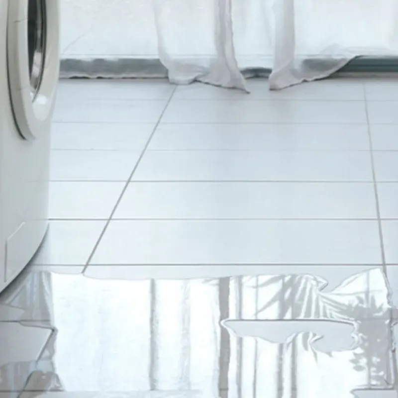 Appliance Leak Cleanup in Silverton, OR