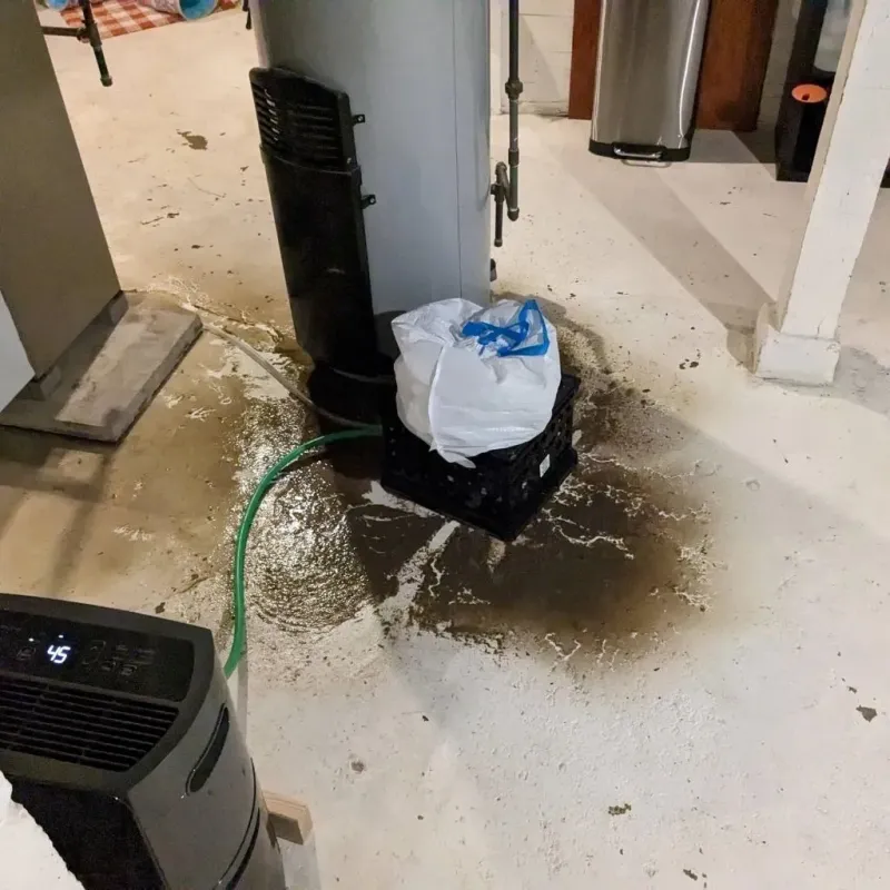 Sewage Backup Cleanup Service in Silverton, OR